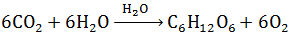 Chemistry-Chemical Kinetics-1820.png